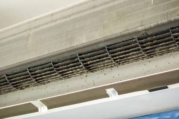 Best Air Duct Sanitization & Disinfection in Beachwood, NJ